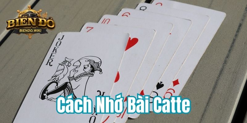 cach-nho-bai-catte-800x400