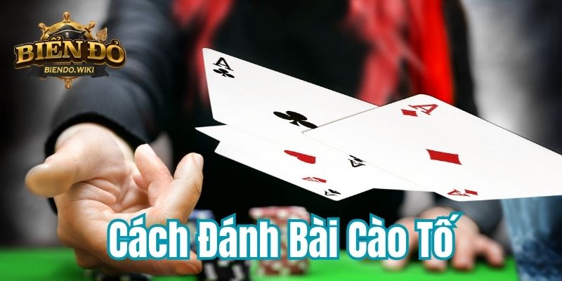 cach-danh-bai-cao-to-800x400