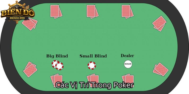 cac-vi-tri-trong-poker-800x400