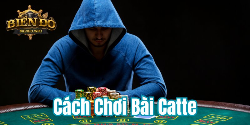 cach-choi-bai-catte-800x400