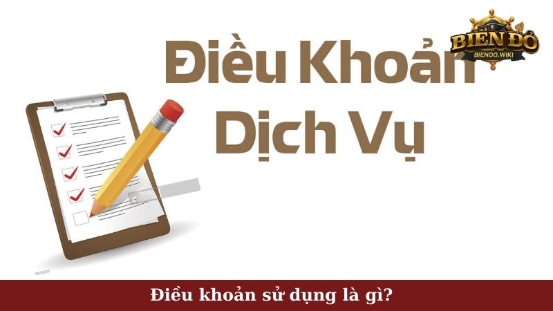 Điều khoản sử dụng