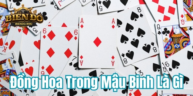 dong-hoa-trong-mau-binh-la-gi-800x400