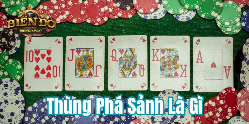 thung-pha-sanh-la-gi-800x400