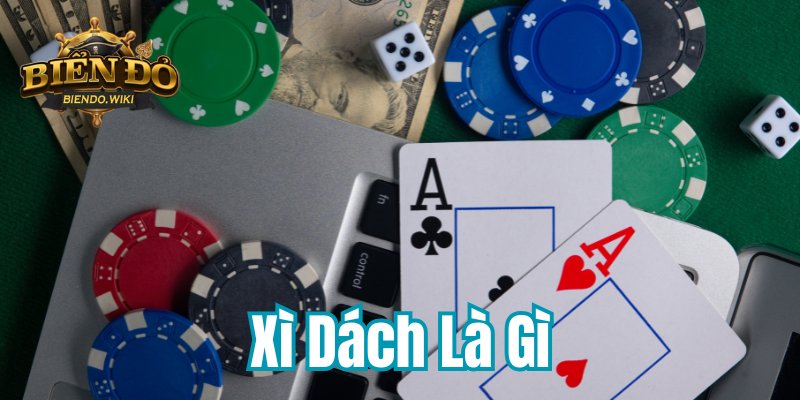 xi-dach-la-gi-800x400